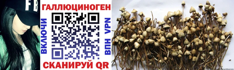 как найти закладки  Мамоново  Галлюциногенные грибы GOLDEN TEACHER 
