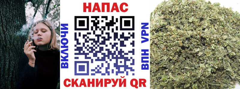Канабис гибрид  Мамоново 